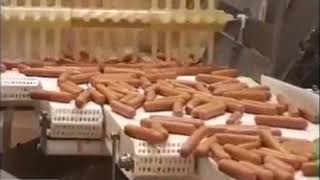 CFS Industrial | GEA PowerPak Automated Sausage Loading