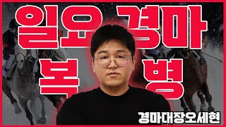 2월 9일 일요경마 분석방송/서울경마/부산경마 예상방송