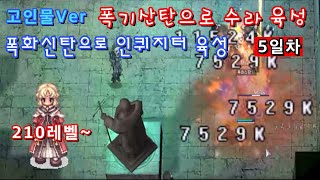 (프모) 폭기산탄 수라 육성 5일차 210레벨~  [고인물버전]