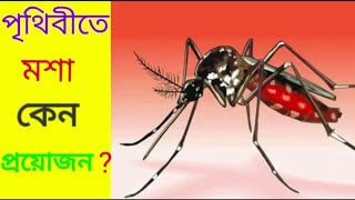 মশা কামড়ানো ছাড়া মশার আর কী উপকারিতা আছে?