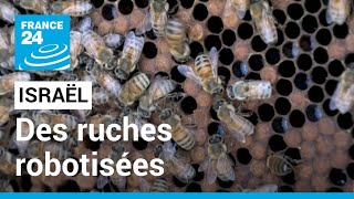 Israël : des ruches robotisées pour préserver les abeilles • FRANCE 24