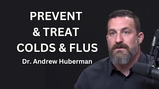 Prevent & Treat Colds & Flus | Dr. Andrew Huberman