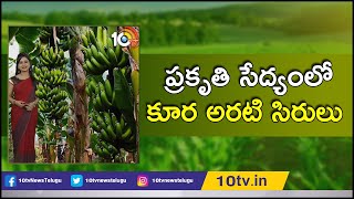 ప్ర‌కృతి సేద్యంలో కూర అర‌టి సిరులు | Matti Manishi | 10TV News