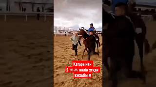 ҚЫТАЙ бәйге #compilation #horse #horseriding #rek #war #кокбору #финиш 2 Автокөлік ұтқан КӨЗАЙЫМ