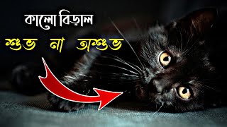 কালো বিড়াল যেখানে শুভ | Where black cats are considered auspicious | কালো বিড়াল শুভ না অশুভ