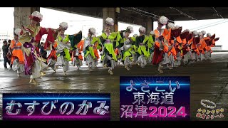 【4K】『むすびのかみ（京都）・常盤（愛知）』よさこい東海道沼津2024  IN 第一市場演舞場  11.2（土）沼津港