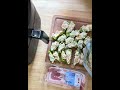 Air Fryer Jalapeno Poppers #shorts