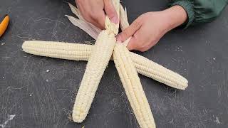 Corn Braiding Tutorial