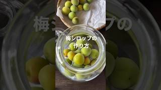 梅シロップの作り方