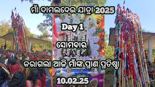 Damaldei jatra 2025 Day 1 #damaldei #maadamaldei#damaldeijatra2025#damaldeiyatra2025#maa #khairput