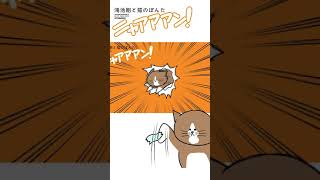 爆笑が止まらない！大人気の愉快な猫漫画【鴻池剛と猫のぽんたニャアアアン！】#Shorts