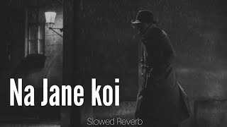 Na Jaane Koi Kaisi Hai Yeh Zindgani (Slowed And Reverb Songs + Lo-fi) | Sad Songs | Bhigi Bhigi