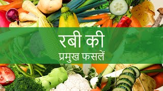 Rabi Crops | रबी की फसल कौन कौन सी है | Rabi Ki Fasal in Hindi | रबी की फसल कब बोई जाती है