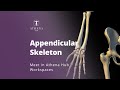 Appendicular Skeleton – Athena Hub Workspaces