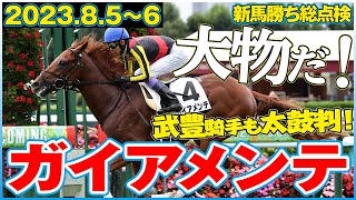 【新馬勝ち総点検】ドゥラ産駒大物現る！ガイアメンテ！《東スポ競馬》