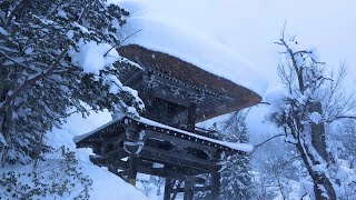 【白川郷、雪景色荻町合掌造り集落】深い雪に覆わた合掌造りが雪が止み月明か冴えて美しかった