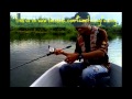 Malaysian Fishing Snakehead Wild Fishing in Malaysia... Prima Fishing Charter...