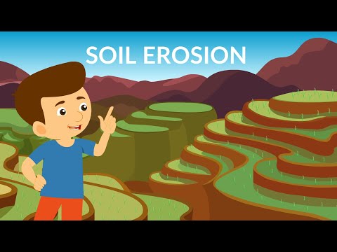 What is responsible for sheet erosion?