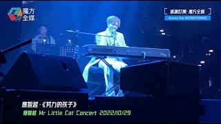 【恭喜細貓】應智越首次個人演唱會“Mr Little Cat Concert 2022” | 《努力的孩子/約你跳舞》