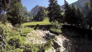 Wingsuit Best Video Compilation 2012