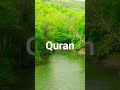 Surah Maryam urdu translation