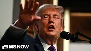 'REEKS of CORRUPTION’: Judge blocks Trump's 'anti-weaponization fund'
