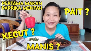 PERTAMA KALI MAKAN PAPRIKA MENTAH TERNYATA RASANYA...😳😳