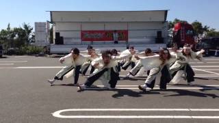 2013YOSAKOIかすや祭り【どしたきん 祈願の華】