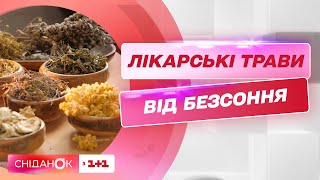 Які трави допоможуть подолати безсоння та заспокоїти нерви – поради від травника Вадима Жигуна