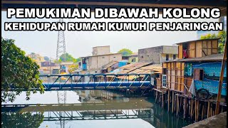 MELIHAT KEHIDUPAN TAK BIASA DI KOLONG TOL PENJARINGAN I penjaringan part 2