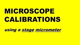 MICROSCOPE CALIBRATION USING STAGE MICROMETER (All exams)