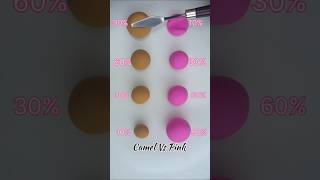 Camel Vs Pink, Most Satisfying colour Mixing #Flower song by Jisoo #color mixing# new colour