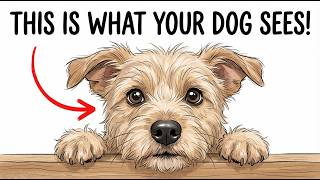 Your Dog Doesn’t See You as Human – (Here’s What You Really Are to Them)