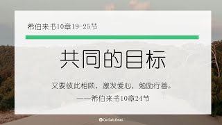 12月23日《灵命日粮》文章视频-共同的目标