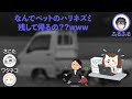 【爆笑 怪談】背後から「ムチムチ」と迫りくる『ハリネズミ』【白物語trpg】