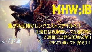 MHWIBモンスターハンターアイスボーン  適当型  気楽にライブ   懐かしのマムタロト戦法