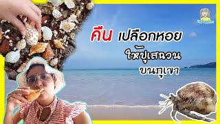 คืนเปลือกหอยให้ปูเสฉวน ..บนภูเขา ||ดีต่อใจ|| ฝ้ายพาไปดู