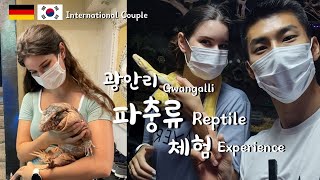 🇩🇪 🇰🇷 [국제커플] 이색데이트, 광안리 파충류샵 체험하기 • [International Couple] Reptile experience in Gwangalli