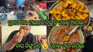 ପ୍ରଥମ ଥର ଟାଇଗର ଚିଙ୍ଗୁଡ଼ି ଘରକୁ ଆସିଲା।ବାଘ ଚିଙ୍ଗୁଡ଼ିର 😉 ଝୋଳ ପୁରା ରସିଲା ଥିଲା।#vlog #tigerprawns