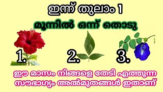 Thodukuri ||ഈ മാസം ഭഗവാൻ ഈശ്വരൻ നിങ്ങൾക്കായി കാത്ത് വച്ചിരിക്കുന്ന വരം ഇതാണ്