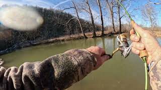 Cedar Springs Big Stream February 2026
