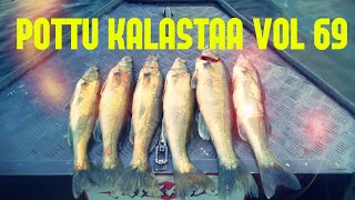 Pottu kalastaa vol 69- kuhaa heittämällä ja täsmänä