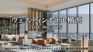 【横浜ホテル】2022年6月にオープンしたウェスティンホテル横浜に宿泊したので詳細レビューします！