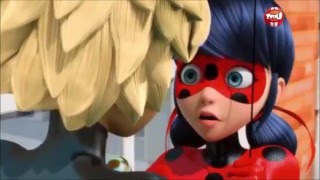 Miraculous Ladybug Les Aventures De Ladybug Et Chat