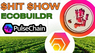 🔥 The $HIT $HOW: Spotlight on HEX - PULSECHAIN with EcoBuildr! 🔥