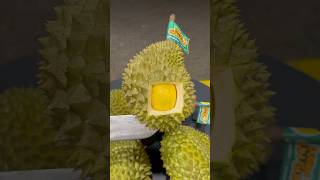 DURIAN 3,1 JUTA #durian #masduren