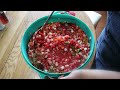 canning fresh homemade salsa step by step instructions with recipe positively amy