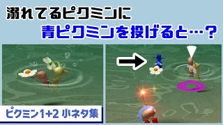 【ピクミン1＋2】溺れてるピクミンに青ピクミンを投げると…意外な現象が…！？ゲームに隠れた細かすぎる小ネタ集【PIKMIN 1＋2】@レウンGameTV