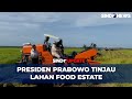 Presiden Prabowo Didampingi Mentan Amran Tinjau Lahan Food Estate di Kabupaten Merauke