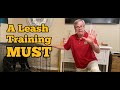 German Shepherd Puppy LEASH TRAINING...know THIS!!!